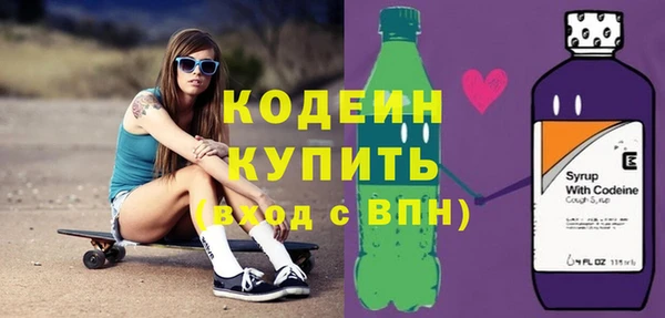шишки Магас