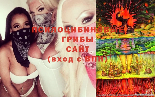 стаф Абдулино