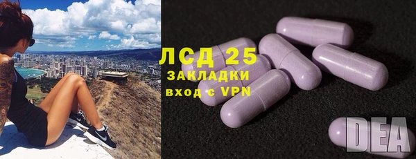 ГАЛЛЮЦИНОГЕННЫЕ ГРИБЫ Магадан