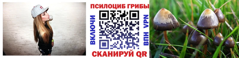 закладка  Мирный  Галлюциногенные грибы мицелий 